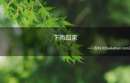 下雨回家是什么梗(年轻人在找对象时新的介绍方式)