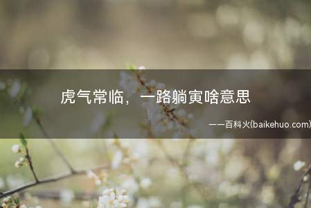 虎气常临,一路躺寅啥意思(虎气常临,一路躺寅啥意思?)