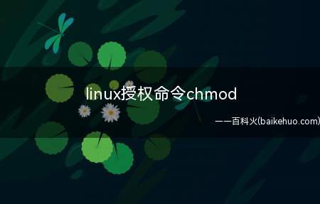 linux授权命令chmod(linux系统下授权命令chmod是什么呢)
