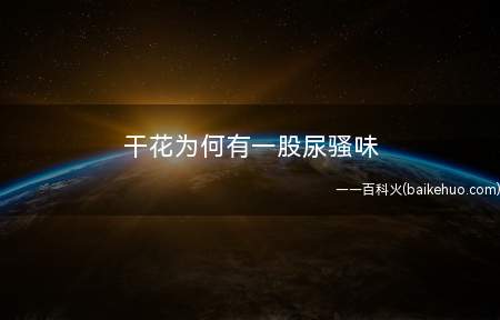 干花为何有一股尿骚味
