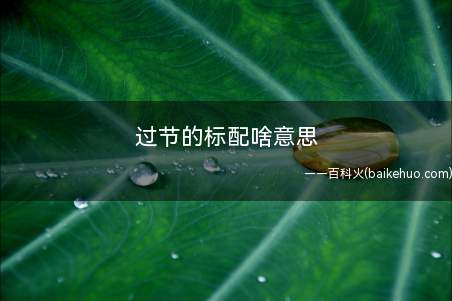 过节的标配啥意思(过节的标配并不拘泥于去做什么)