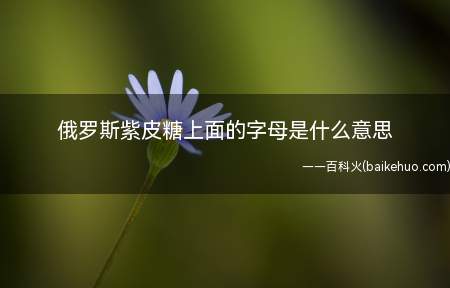 俄罗斯紫皮糖上面的字母是什么意思
