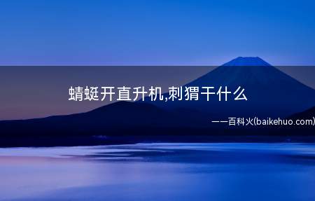 蜻蜓开直升机,刺猬干什么
