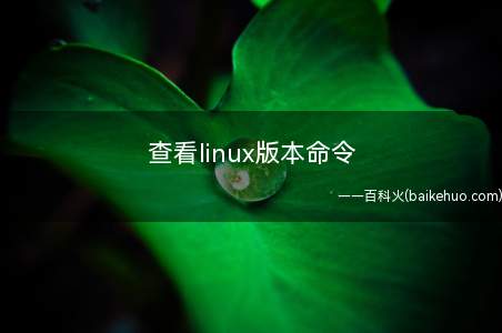 查看linux版本命令(linux里面使用命令查看版本总共有四个步骤)