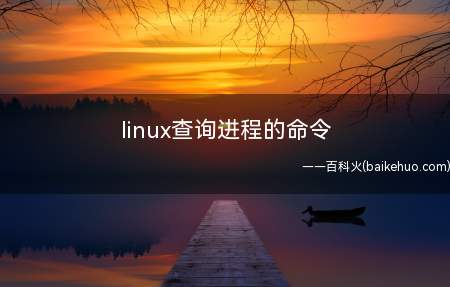 linux查询进程的命令(linux系统查询进程的命令需要3个步骤)