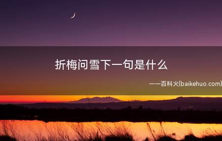 折梅问雪下一句是什么