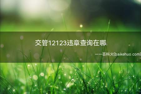 交管12123违章查询在哪(华为mate 30系统)