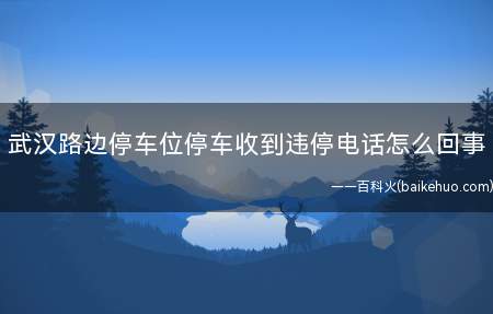 武汉路边停车位停车收到违停电话怎么回事