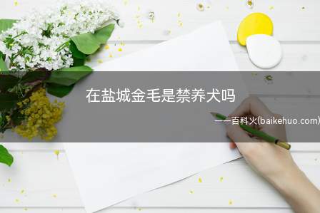 在盐城金毛是禁养犬吗