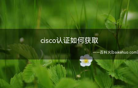 cisco认证如何获取（获取cisco认证需要通过哪些体系?）
