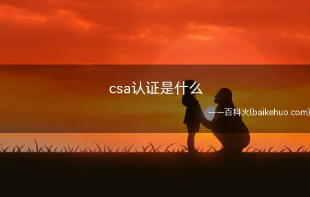 csa认证是什么（CSA认证是什么 检验主要集中在八个方面）