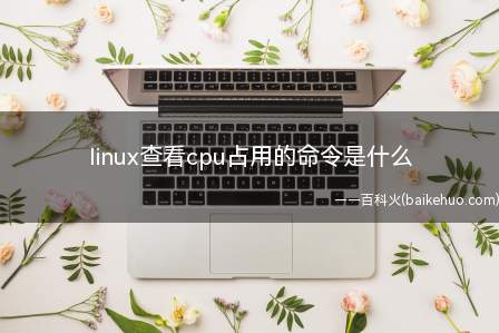 linux查看cpu占用的命令是什么(linux系统中查看cpu占用的命令是什么呢?)