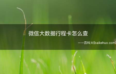 微信大数据行程卡怎么查(演示机型:Iphone 12)