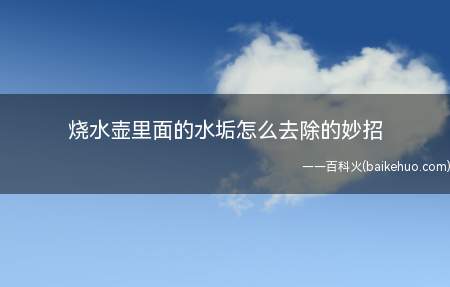 烧水壶里面的水垢怎么去除的妙招(去除烧水壶里面的水垢的妙招)