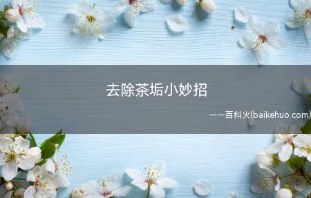 去除茶垢小妙招(茶垢可以使用食盐、白醋、小苏打、锡纸等方法)
