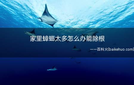 家里蟑螂太多怎么办能除根(除去蟑螂的方法有很多种)