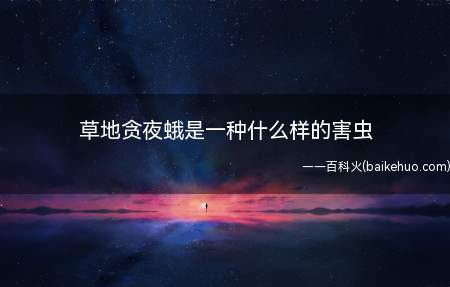 草地贪夜蛾是一种什么样的害虫(防治草地贪夜蛾的三种方式)