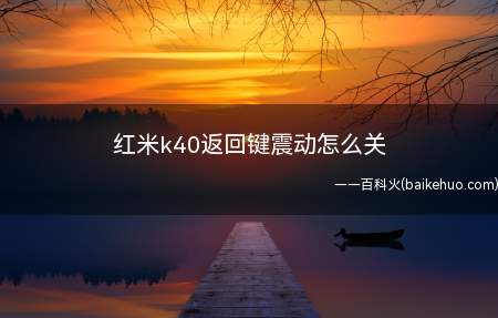 红米k40返回键震动怎么关(红米k40返回键震动怎么关的具体操作步骤)