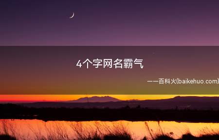 4个字网名霸气(4个字的霸气网名有哪些)