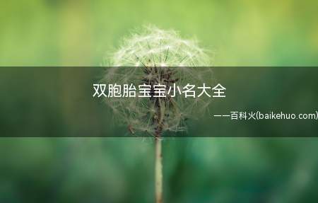 双胞胎宝宝小名大全(双胞胎宝宝小名有哪些?)