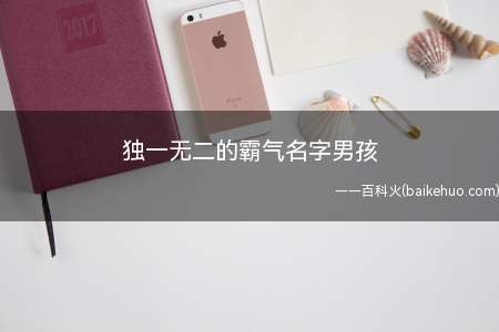 独一无二的霸气名字男孩(独一无二的霸气名字男孩有什么)