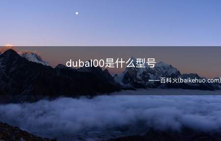dubal00是什么型号