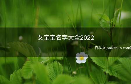 女宝宝名字大全2022(2022适合女宝宝的名字)