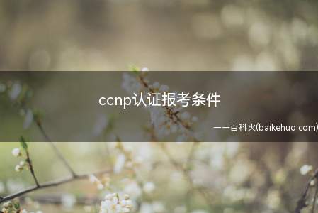 ccnp认证报考条件(报考ccnp只对考生的年龄有限制)