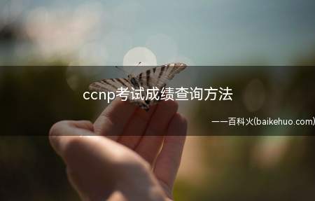 ccnp考试成绩查询方法（ccnp考试成绩不用查询）