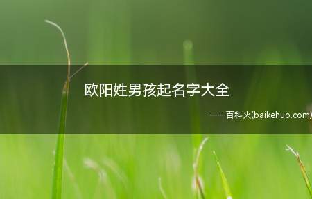 欧阳姓男孩起名字大全