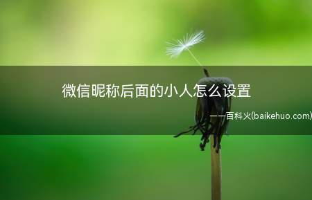 微信昵称后面的小人怎么设置