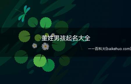 董姓男孩起名大全