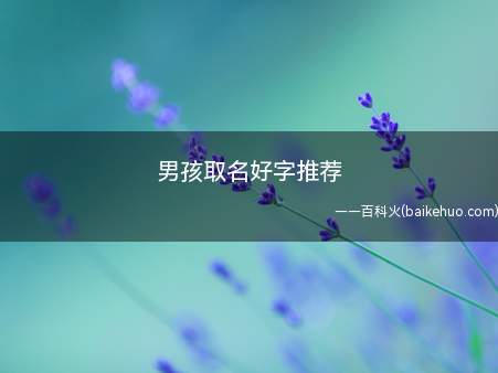 男孩取名好字推荐