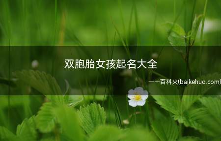 双胞胎女孩起名大全