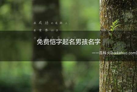 免费恺字起名男孩名字(免费恺字起名男孩的名字有哪些?)