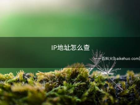 IP地址怎么查(Windows 10查看电脑的IP地址)