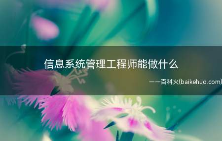 信息系统管理工程师能做什么（信息系统管理工程师能做什么?）