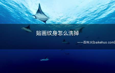 贴画纹身怎么洗掉(贴画纹身怎么洗掉的具体操作步骤)