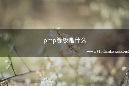 pmp等级是什么(pmp等级是什么?一起来了解一下吧)
