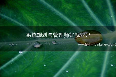 系统规划与管理师好就业吗