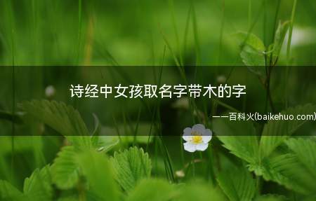 诗经中女孩取名字带木的字