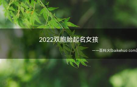 2022双胞胎起名女孩（2022双胞胎起名女孩名字大全）