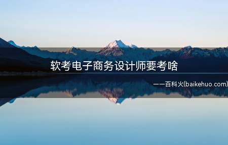 软考电子商务设计师要考啥