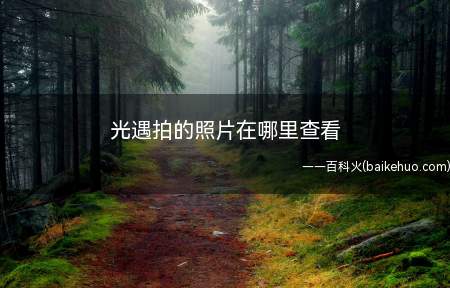 光遇拍的照片在哪里查看(演示机型:Iphone 12)