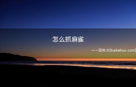 怎么抓麻雀(怎么抓麻雀的具体操作步骤)