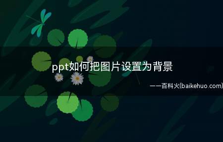 ppt如何把图片设置为背景(PowerPoint2019)