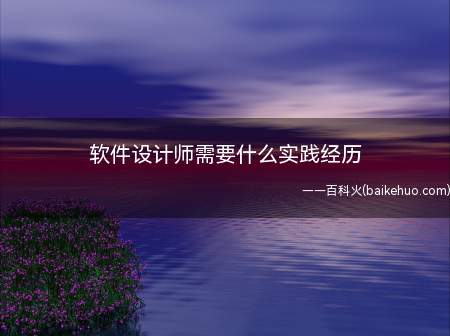 软件设计师需要什么实践经历