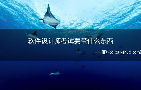 软件设计师考试要带什么东西
