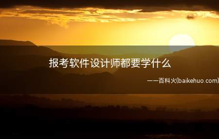 报考软件设计师都要学什么