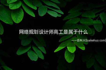 网络规划设计师高工是属于什么